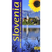 Slovenia Sunflower